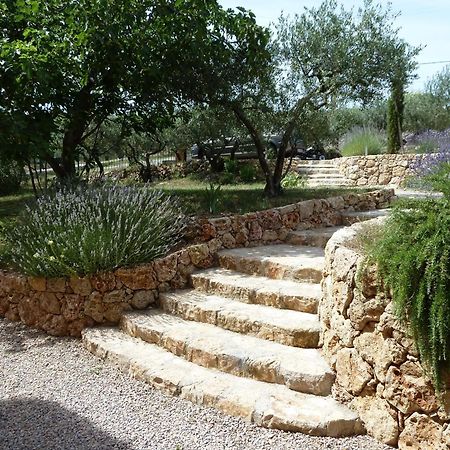 Mas De L'Olivette Panzió Cotignac Kültér fotó
