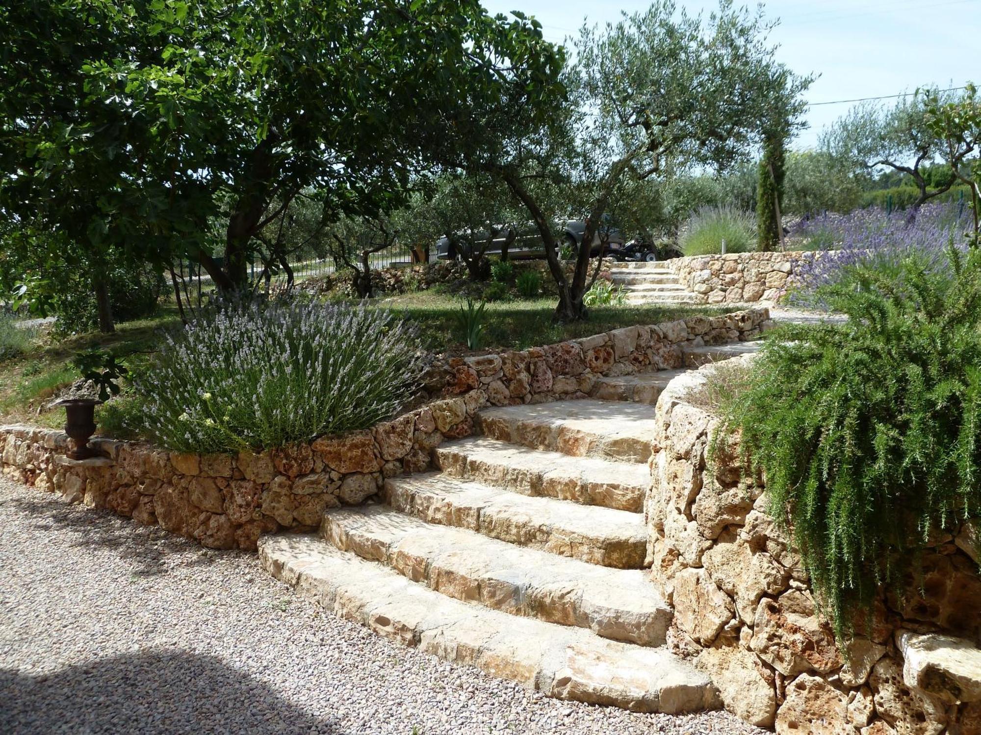 Mas De L'Olivette Panzió Cotignac Kültér fotó